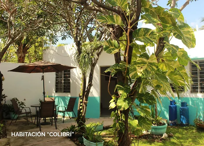 Apartment Departamentos Ileana