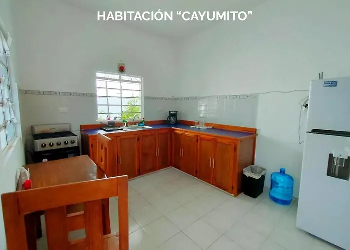 Apartment Departamentos Ileana *