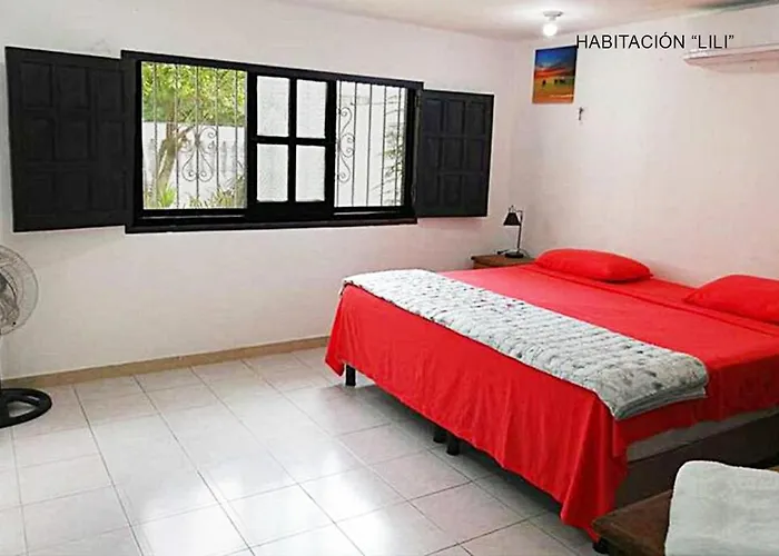 Departamentos Ileana Apartment *